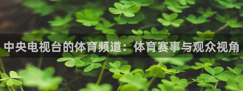 ag平台游戏：中央电视台的体育频道：体育赛事与观众视角