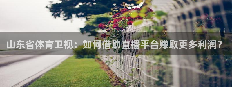 游戏ag：山东省体育卫视：如何借助直播平台赚取更多利润？
