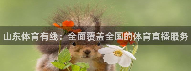 ag电玩游戏