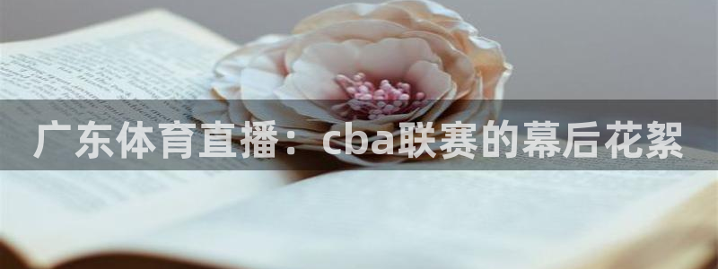 ag街机官网