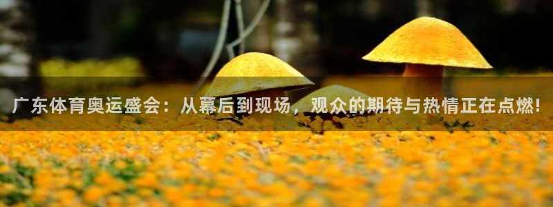 ag街机下载