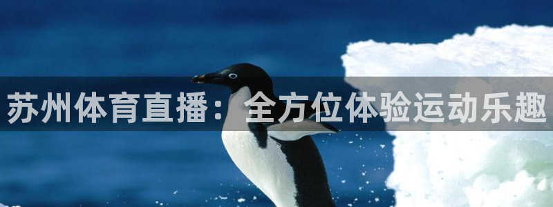 ag街机官网