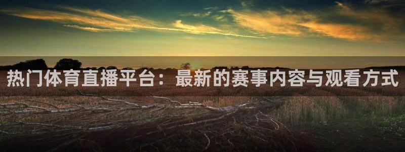 ag街机平台